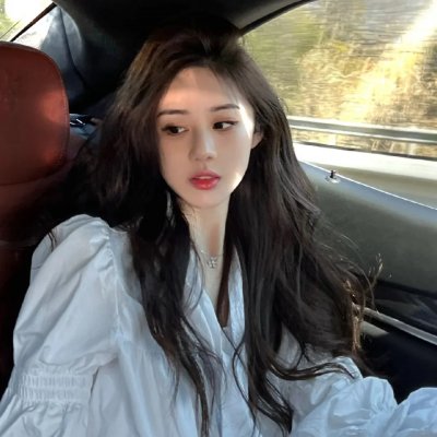 狮子军龙虎鬪 海报